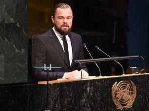 联合国有职务明星,共筑和平——联合国职务明星风采录”
