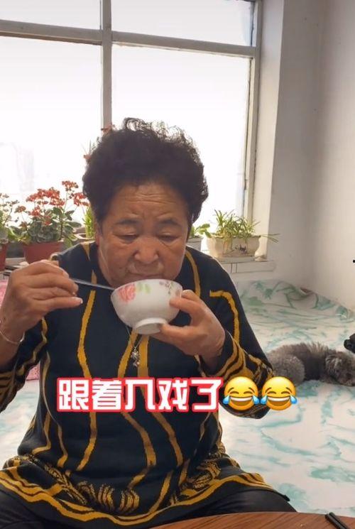 网红田姥姥的简介照片,网络红人，温暖人心的家常美食传递者