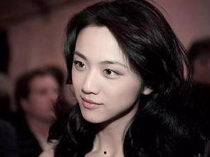 美女明星后宫,揭秘美女明星的神秘后宫生活