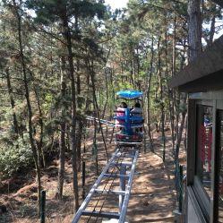 林海公园吃瓜事件,一场引发热议的公共道德风波