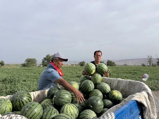 兰登吃瓜,揭秘娱乐圈幕后风云