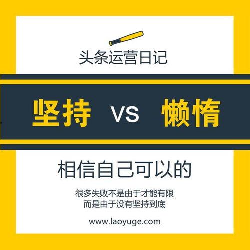 头条分享自己工作经历,我的成长与蜕变之旅