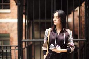 玩lofter的明星,揭秘明星们的创意生活圈