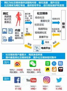 网红产业,流量变现的奇迹之旅