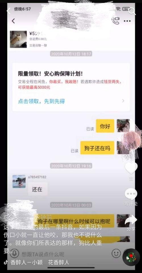 爆料怎么发短视频