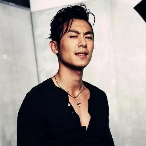 男明星 痞帅,探寻男明星的独特风采