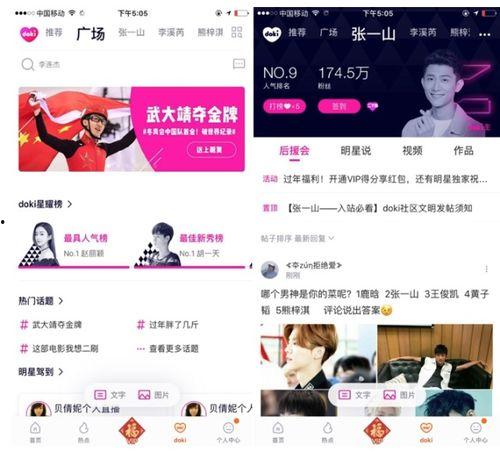 明星粉丝测试,深度解析粉丝行为背后的心理动机