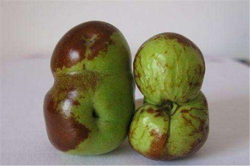 歪瓜裂枣怎么吃,歪瓜裂枣的多样食法探索