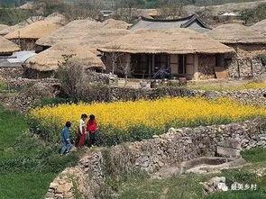 网红兴义农村七妹是谁,揭秘农村新势力背后的故事