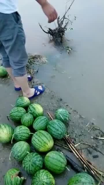 吃瓜饭后散步好吗视频,健康生活新选择