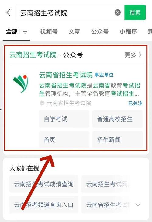 头条晒高考成绩截图,学霸风采绽放！